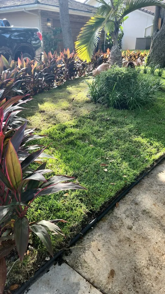 Local outdoor landscaping with custom design in Miami, FL by Alpopa Gardenes Services