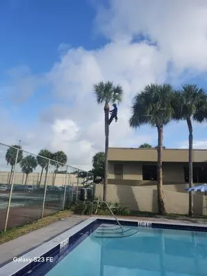 Alpopa Gardenes Services Logo