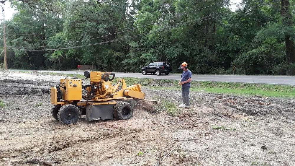 Trusted yard cleanup service in Denham Springs, LA by Already Done Stump Grinding