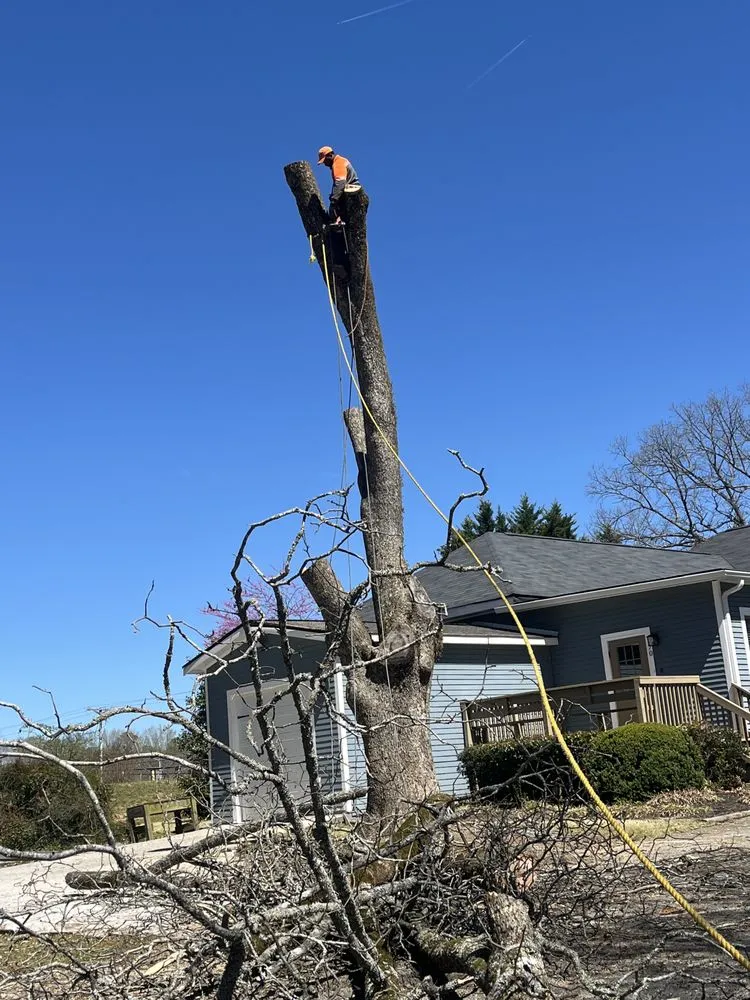 Top-rated garden landscaping for homes across Jonesboro, GA - Al's Above and Beyond Tree and Lawn Services