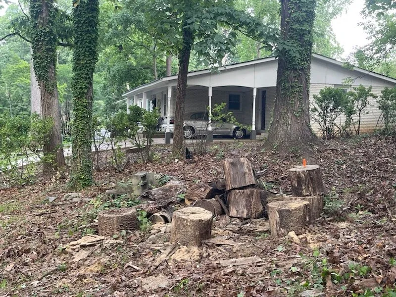 Affordable landscaping services in Jonesboro, GA - Al's Above and Beyond Tree and Lawn Services