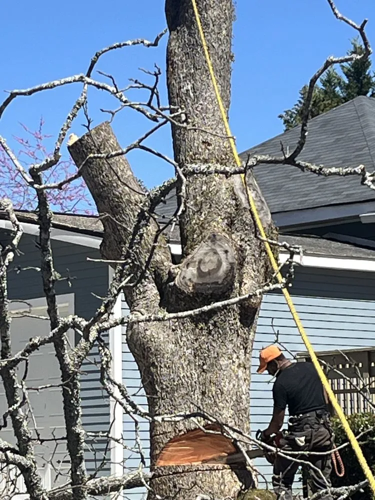 Custom garden landscaping for residential properties in Jonesboro, GA by Al's Above and Beyond Tree and Lawn Services