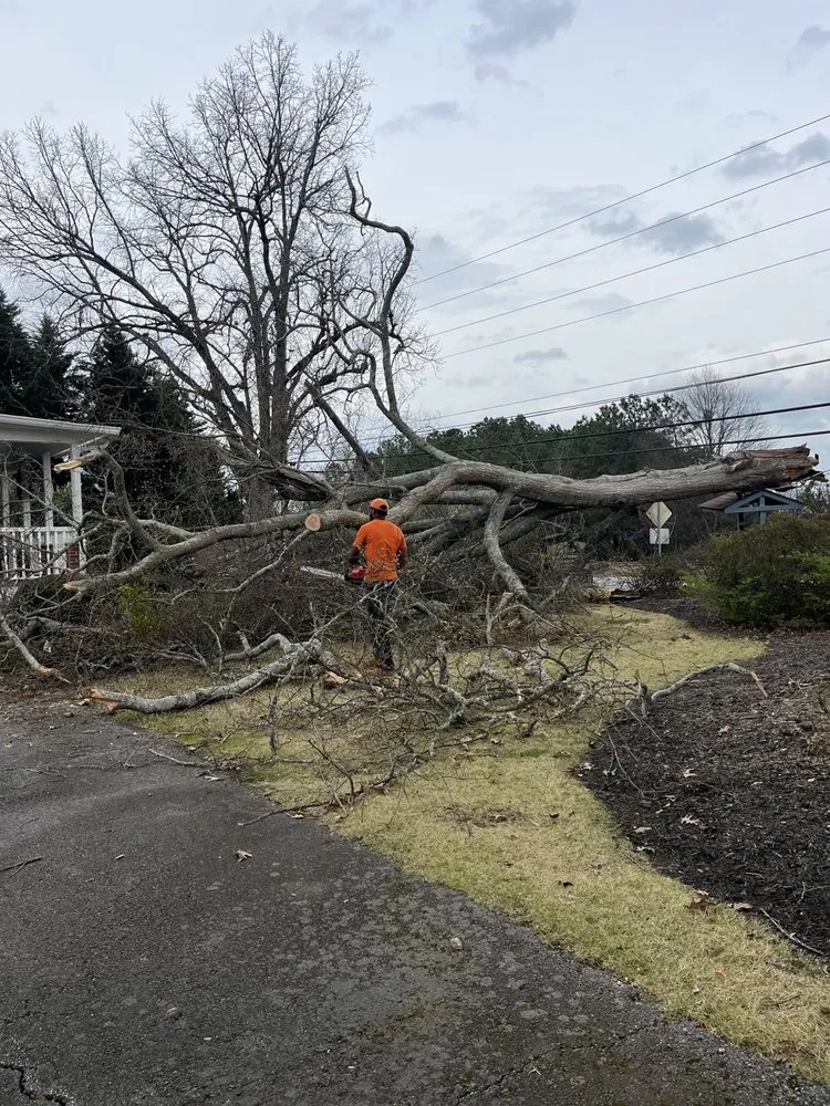 Trusted garden landscaping in Jonesboro, GA by Al's Above and Beyond Tree and Lawn Services