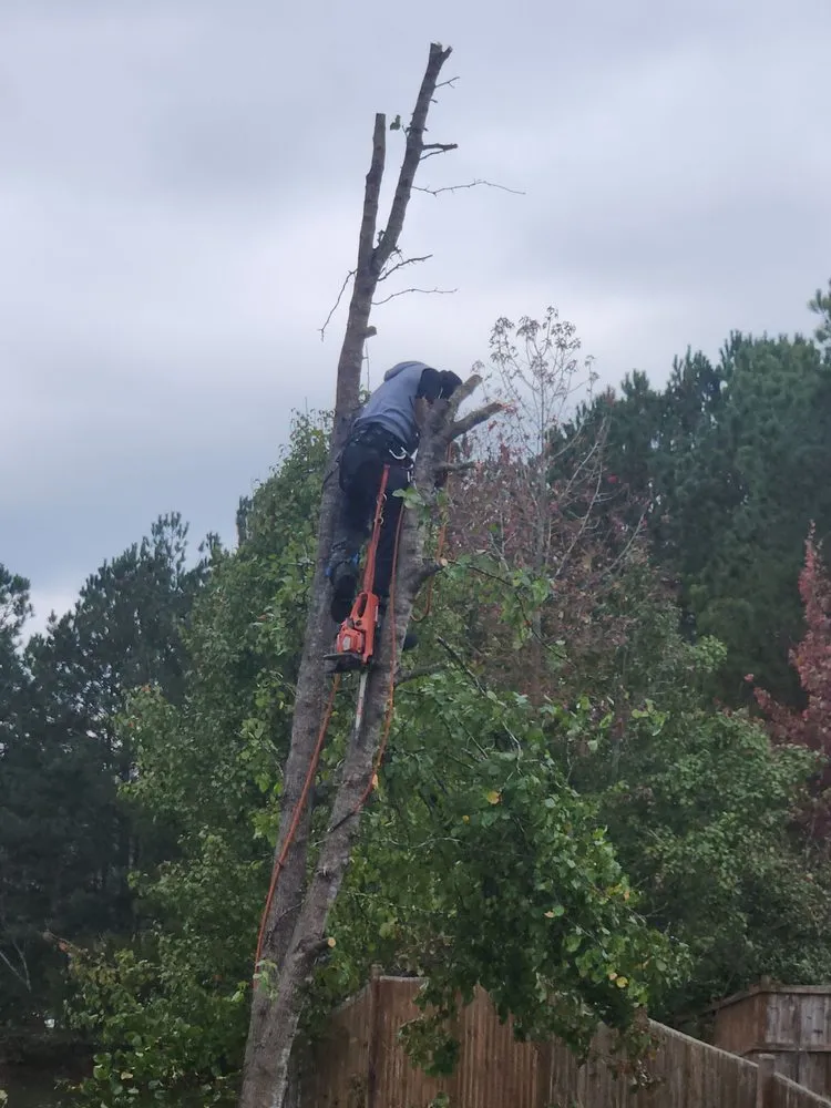 Affordable yard cleanup service for homes across Jonesboro, GA - Al's Above and Beyond Tree and Lawn Services