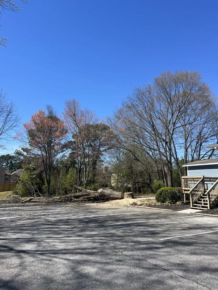 Local outdoor landscaping in Jonesboro, GA - Al's Above and Beyond Tree and Lawn Services