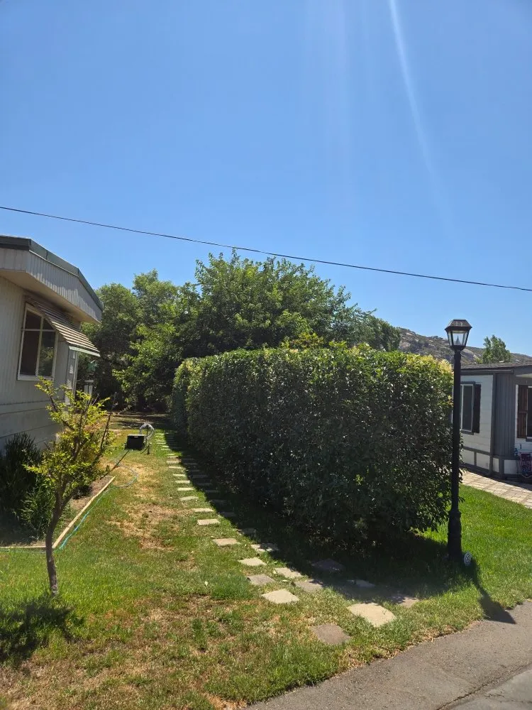 Affordable landscaping services in Ramona, CA by Al's All Around Gardening & Maintenance