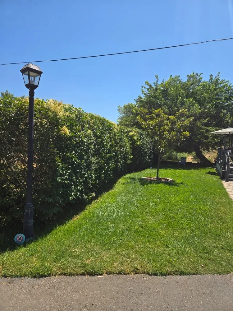 Professional residential landscaping in Ramona, CA - Al's All Around Gardening & Maintenance