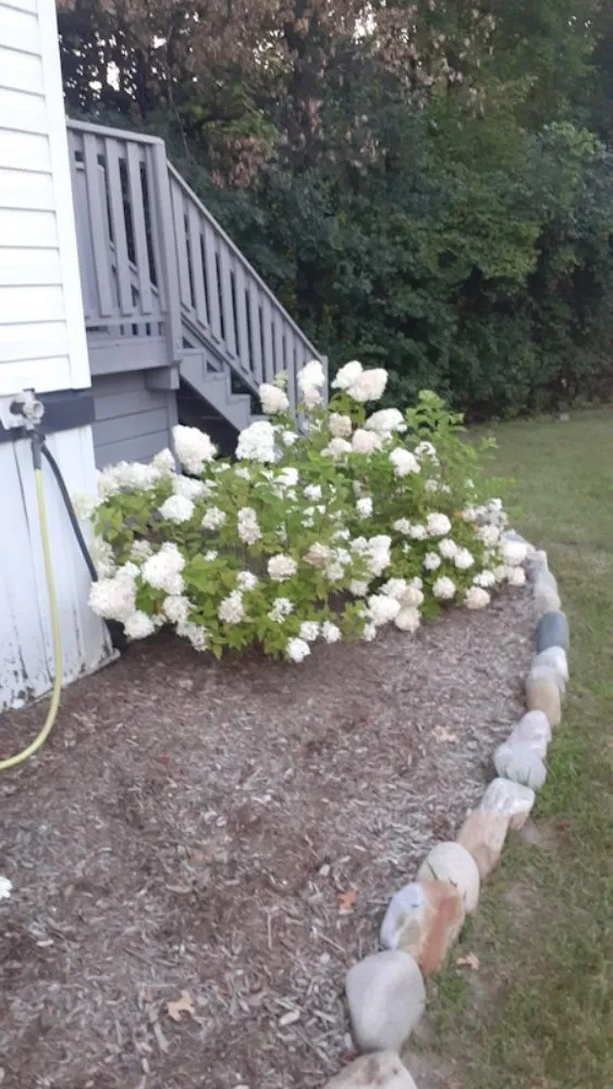 Top-rated yard cleanup service in Ortonville, MI - Al's Complete Outdoor Services