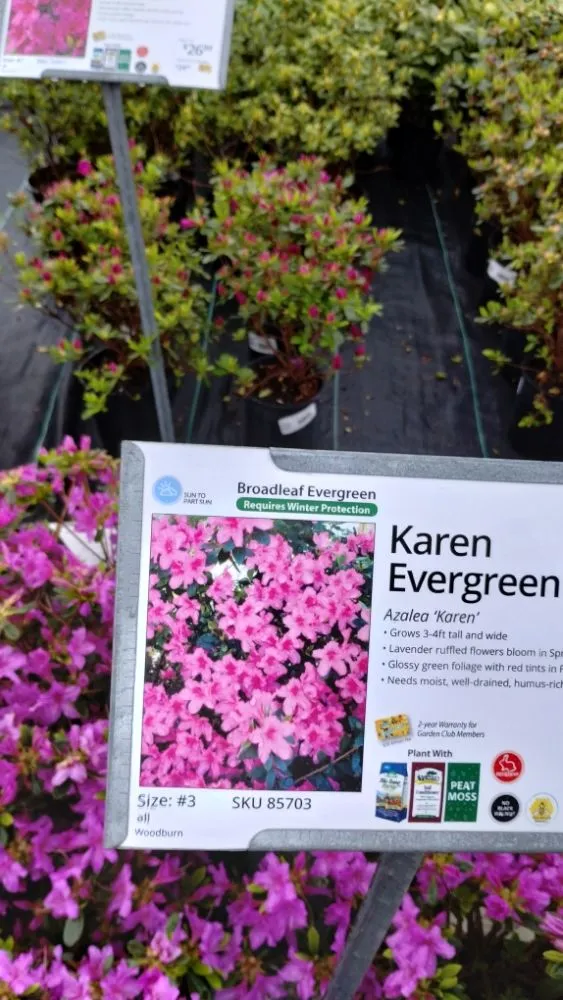 Professional residential landscaping in Ortonville, MI by Al's Complete Outdoor Services