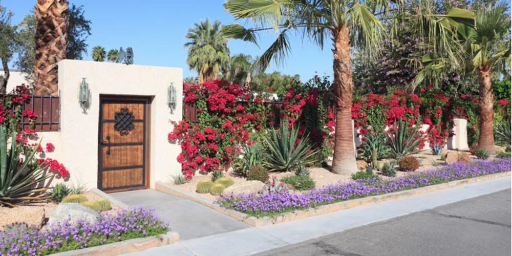 Affordable residential landscaping for outdoor upgrades across Palm Springs, CA - Al's Construction & Landscape