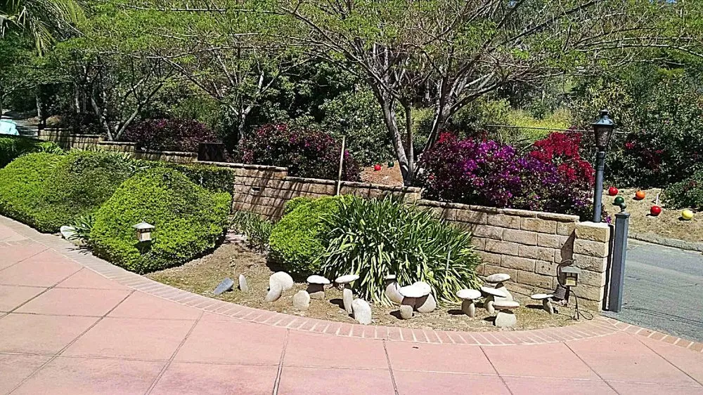 Custom residential landscaping experts serving Palm Springs, CA - Al's Construction & Landscape