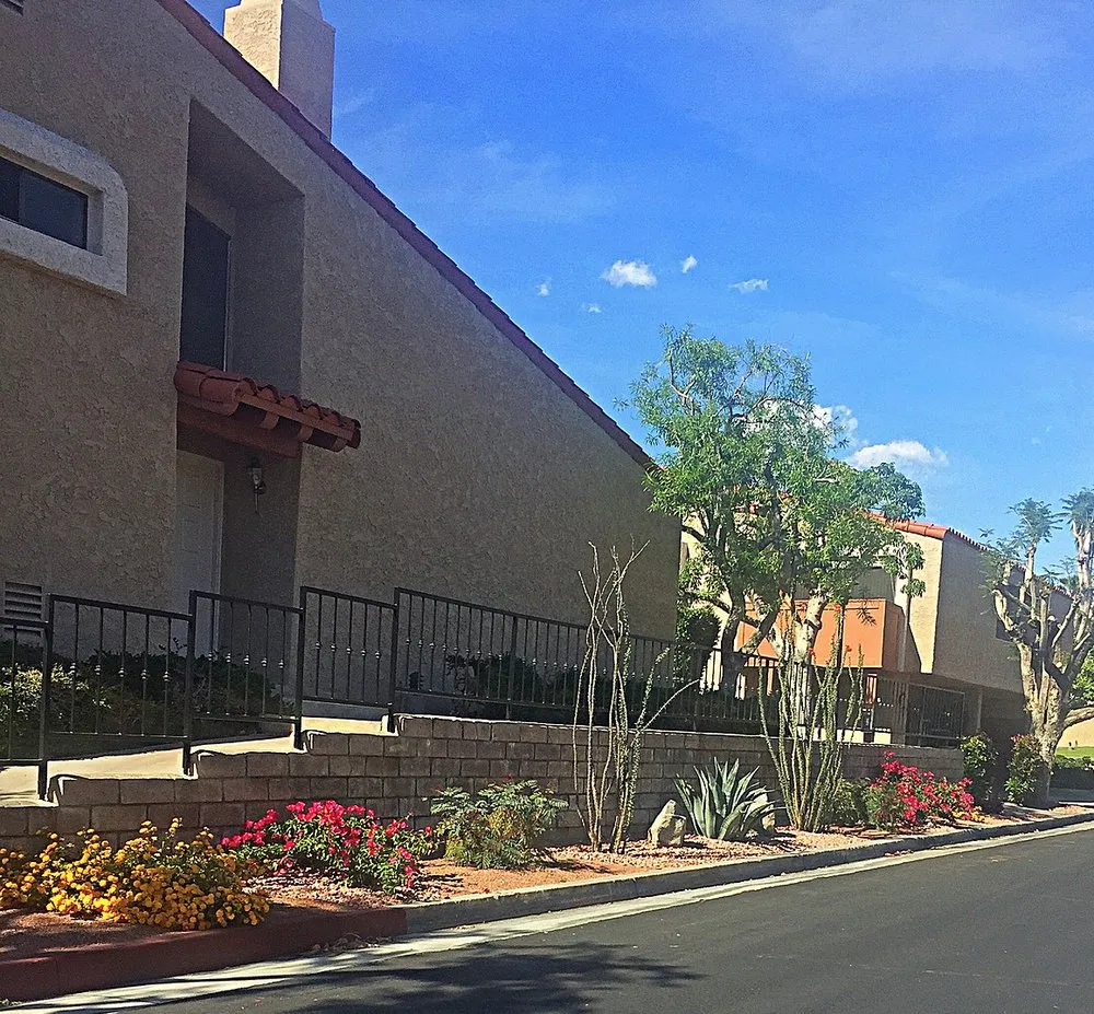 Expert yard cleanup service in Palm Springs, CA - Al's Construction & Landscape