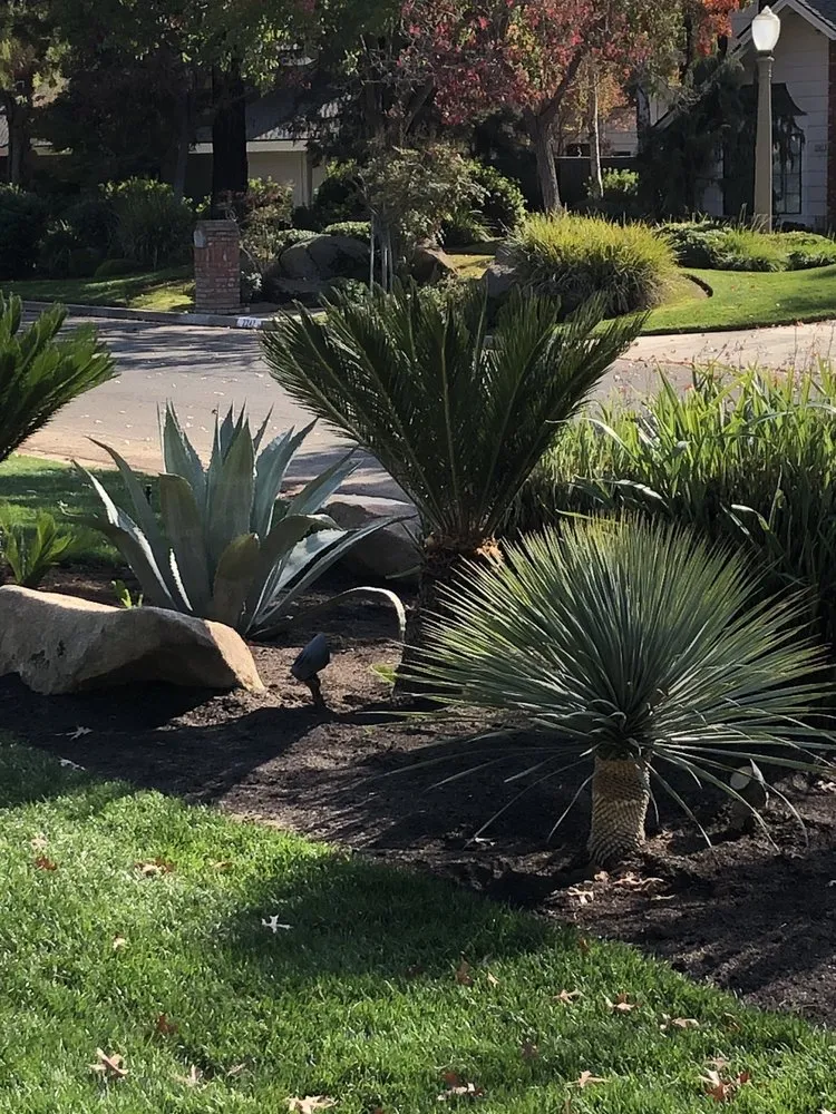 Affordable landscape design for beautiful yards in Fresno, CA by Al's Landscape Construction