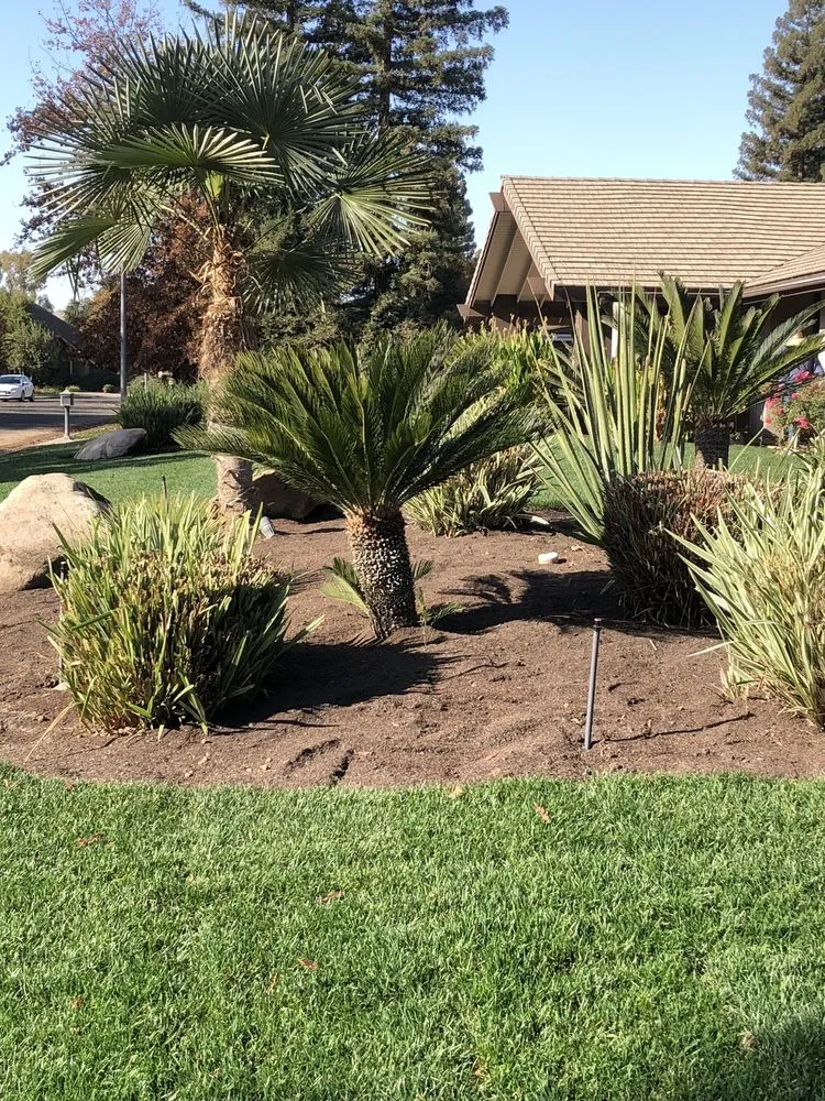 Professional garden landscaping in Fresno, CA by Al's Landscape Construction