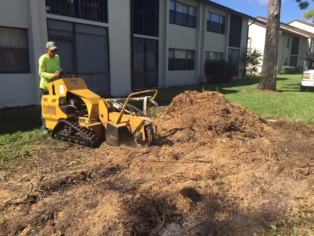 Expert lawn mowing service for year-round maintenance across Lake Worth, FL - Al's Landscape Contracting