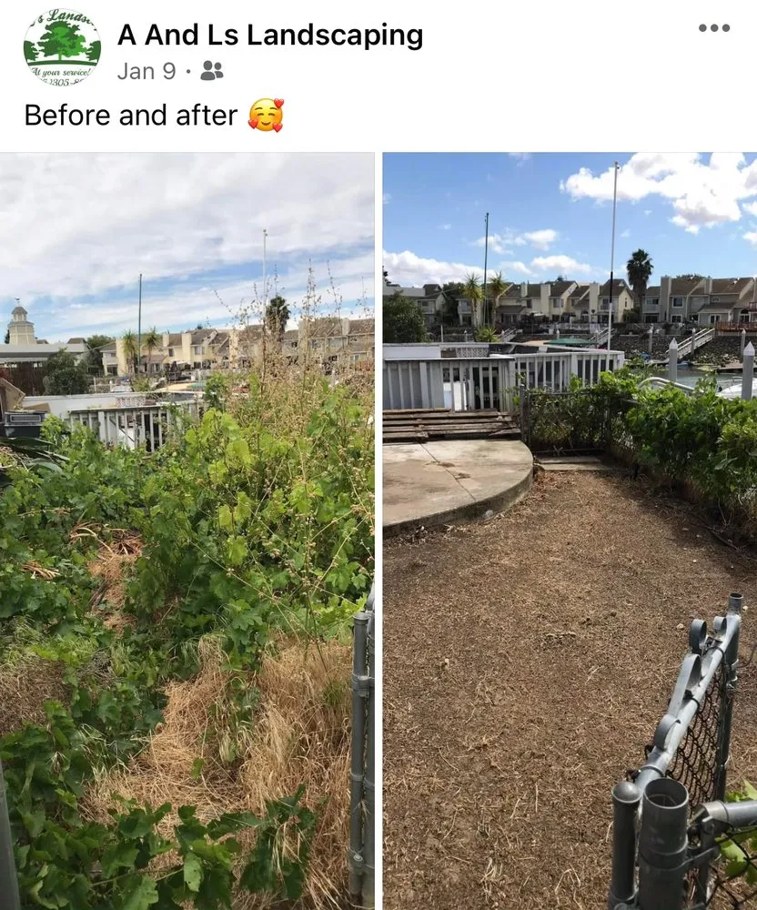 Professional landscape design in Bay Point, CA by A&L’s landscaping