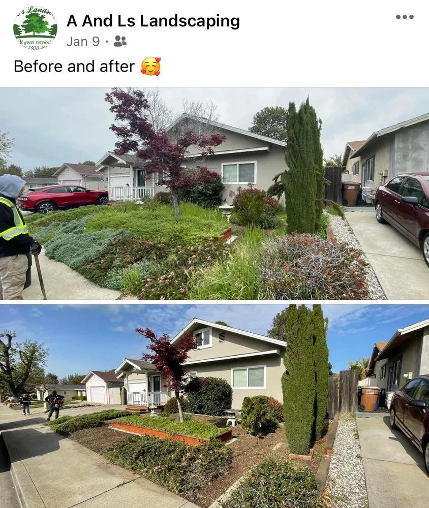Trusted lawn care service experts serving Bay Point, CA - A&L’s landscaping