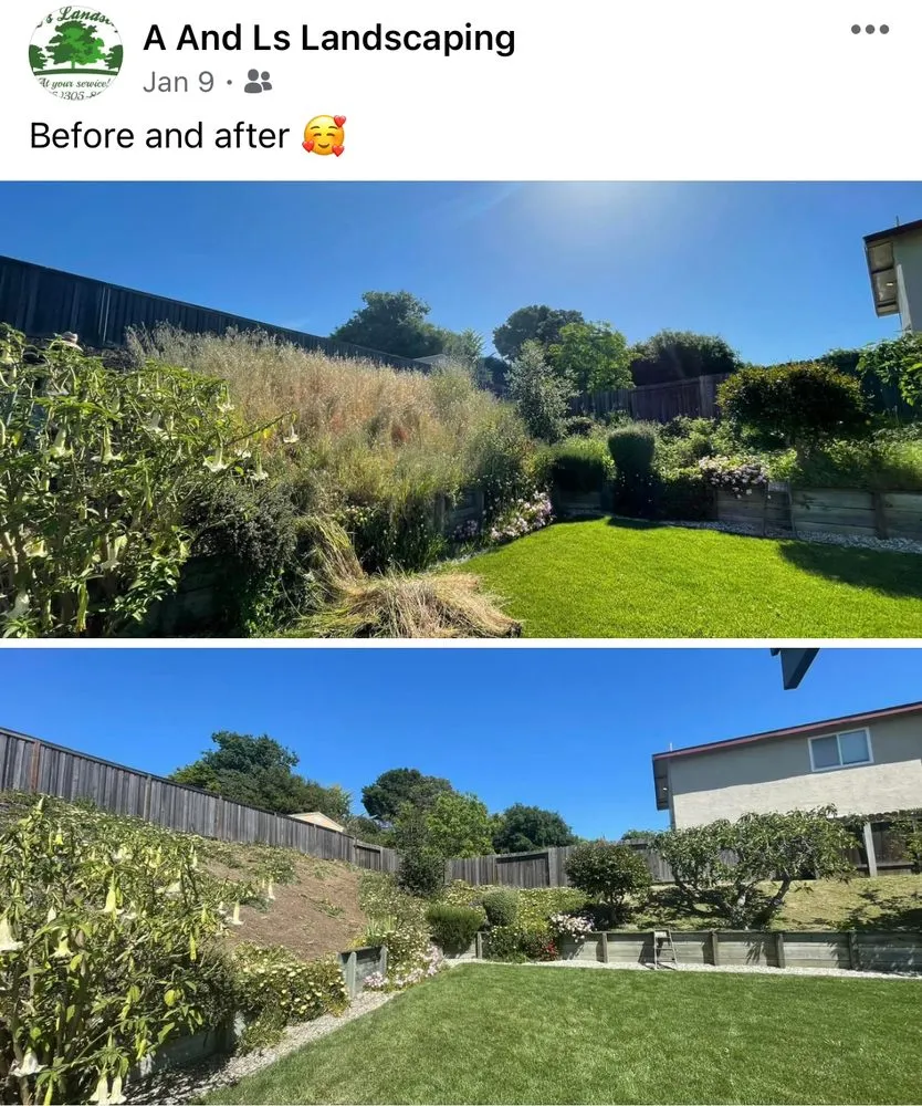 Local yard maintenance in Bay Point, CA by A&L’s landscaping
