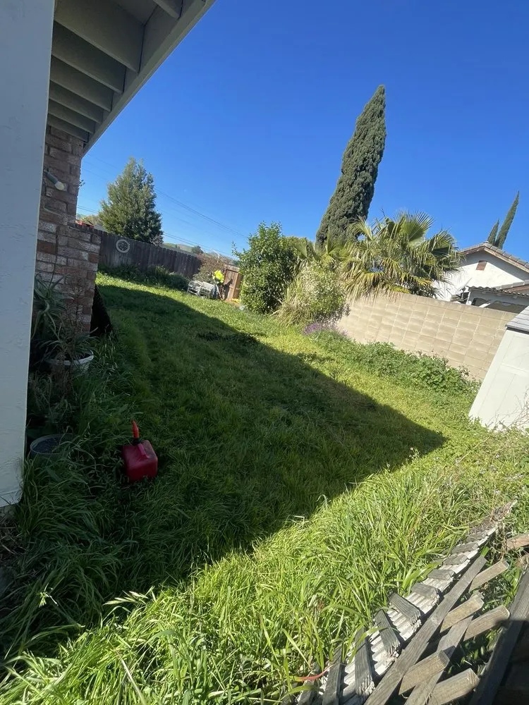 Affordable landscape installation for outdoor upgrades across Bay Point, CA - A&L’s landscaping