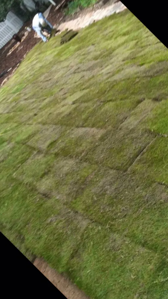 Reliable lawn mowing service for beautiful yards across Loganville, GA - ALS Landscaping