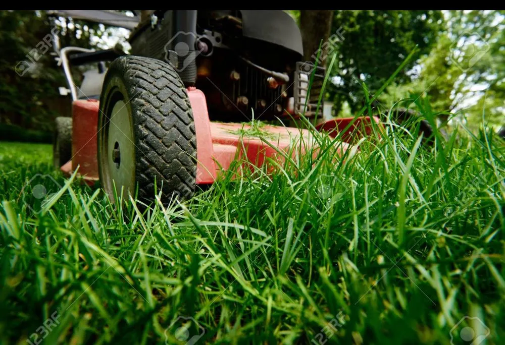 Reliable landscaping services near you in Pittsburgh, PA by Al’s landscaping