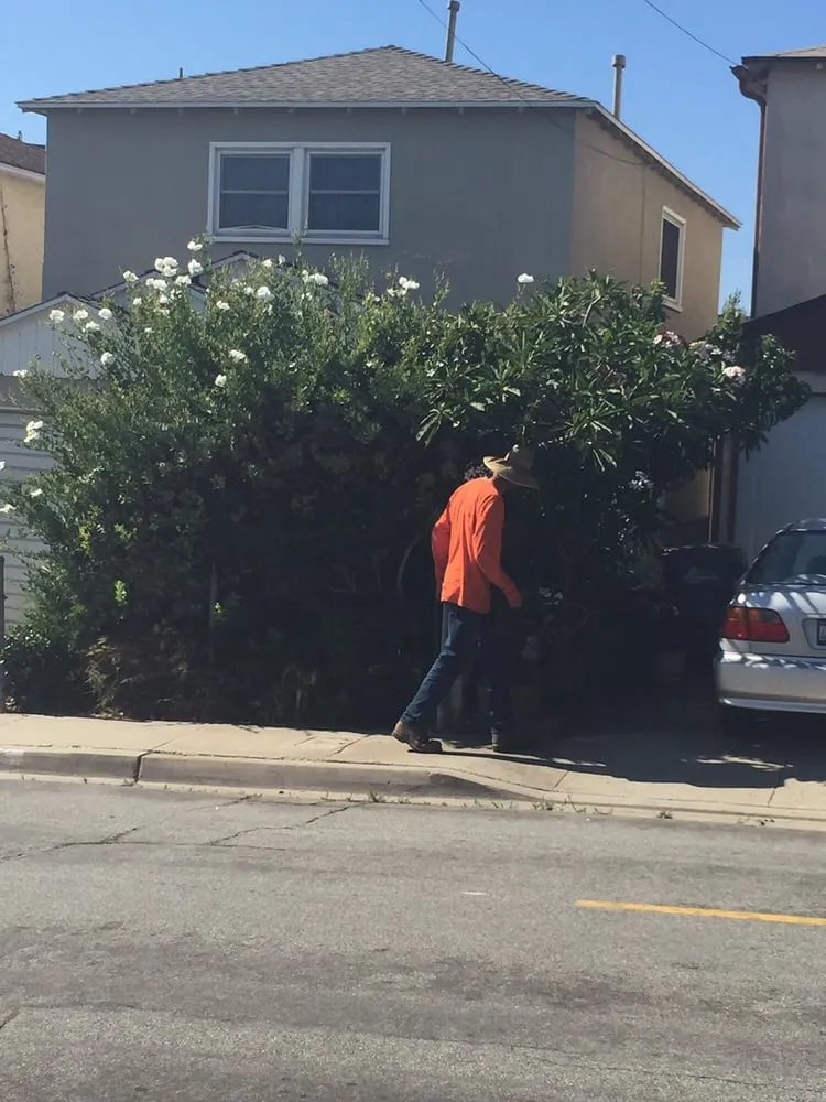Expert residential landscaping for beautiful yards across Playa Del Rey, CA - Al's Landscaping