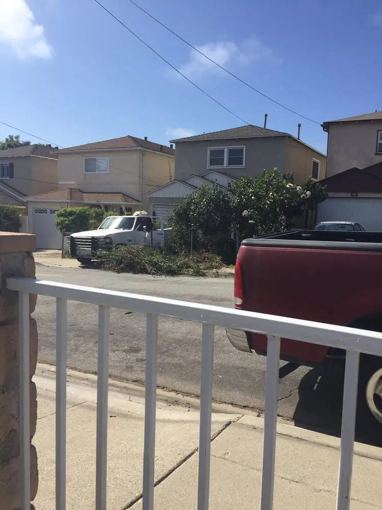 Affordable landscaping services in Playa Del Rey, CA - Al's Landscaping