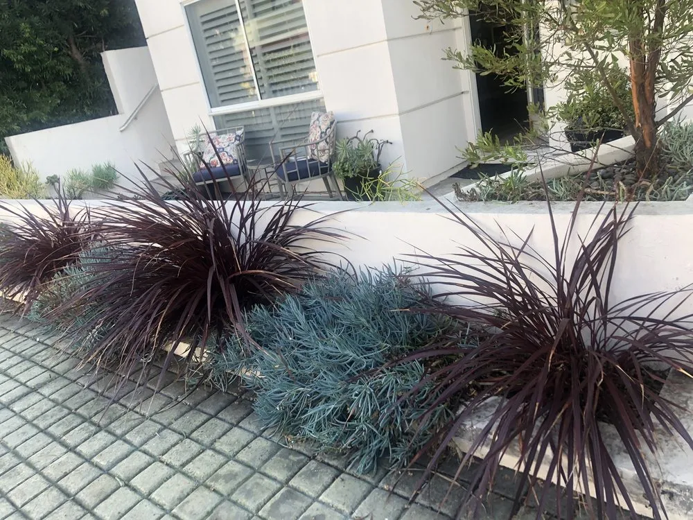 Top-rated landscape installation in Playa Del Rey, CA - Al's Landscaping
