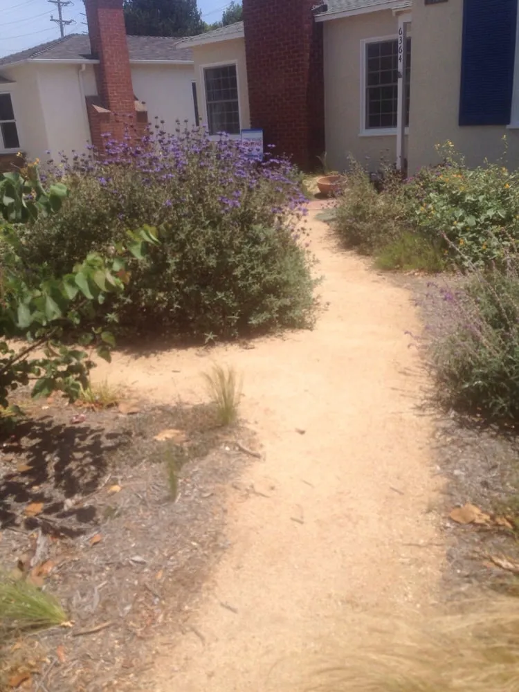 Professional lawn mowing service with custom design across Playa Del Rey, CA - Al's Landscaping