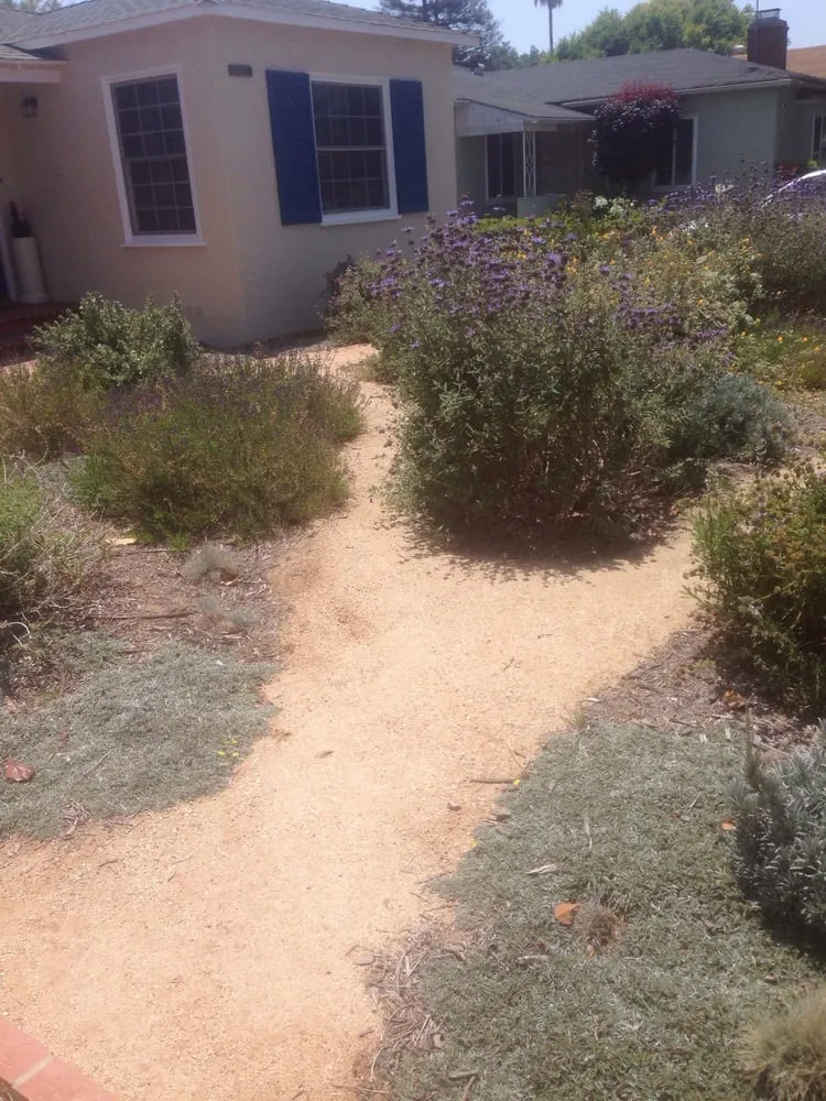Custom landscape design experts serving Playa Del Rey, CA - Al's Landscaping