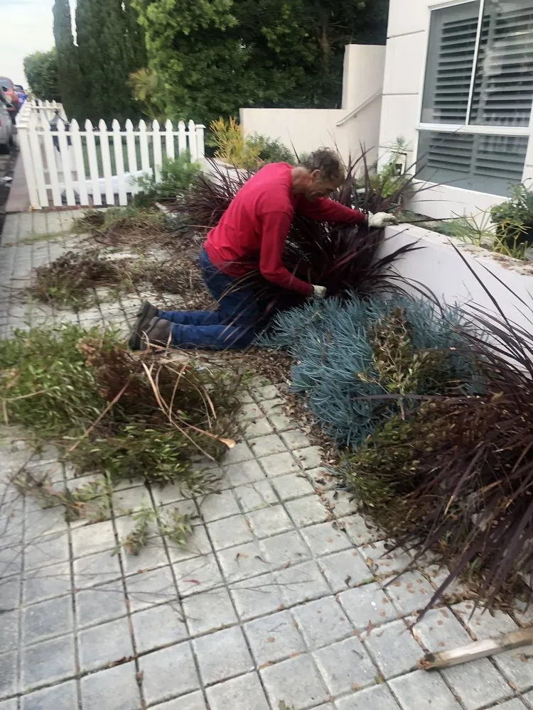 Trusted landscape design in Playa Del Rey, CA by Al's Landscaping