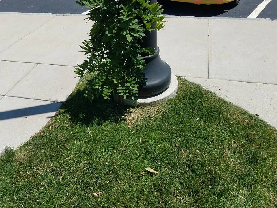 Affordable landscaping services for beautiful yards across Ashland, MA - Al's Landscaping Service