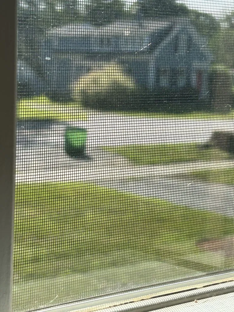 Reliable yard maintenance experts serving Ashland, MA - Al's Landscaping Service