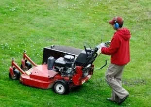 Custom yard cleanup service near you across Ashland, MA - Al's Landscaping Service