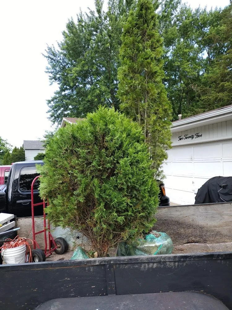 Expert lawn care service in Batavia, IL - Al's Landscaping Services and associates