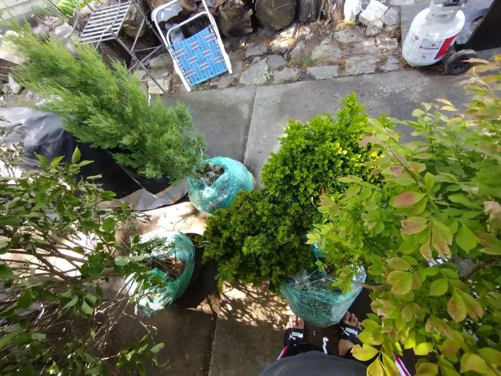 Expert landscape design in Batavia, IL - Al's Landscaping Services and associates