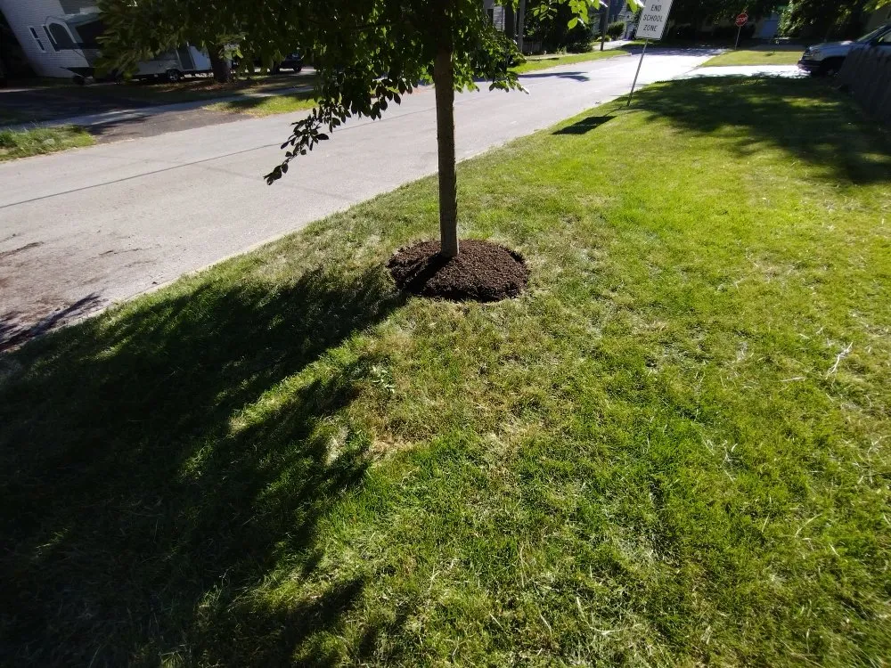 Local residential landscaping experts serving Batavia, IL - Al's Landscaping Services and associates