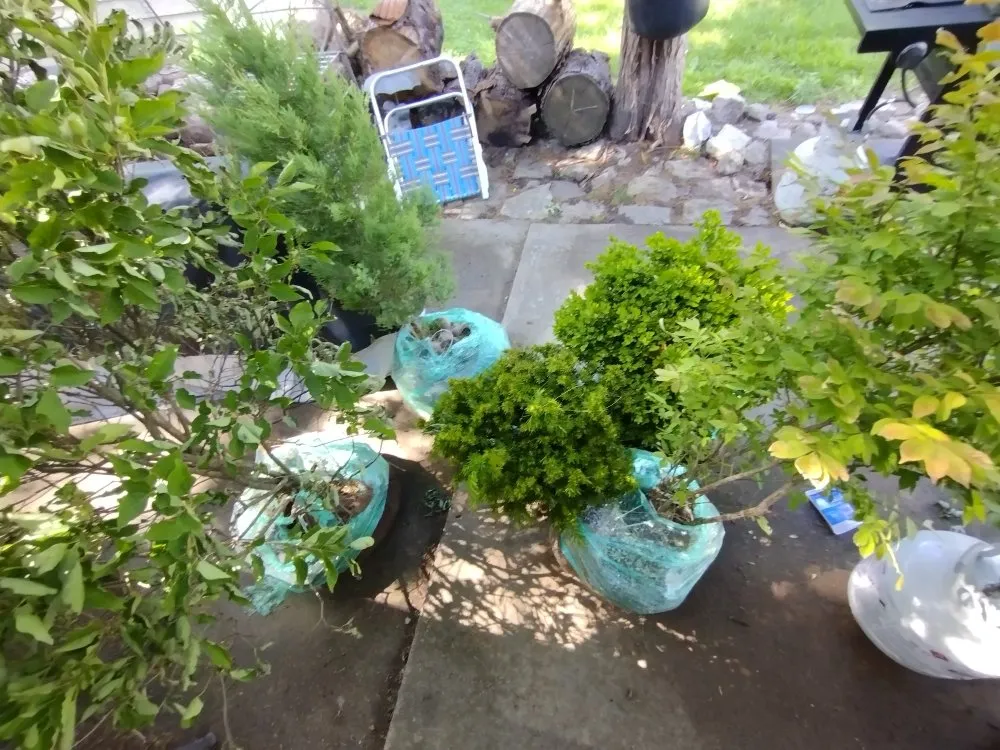 Professional garden landscaping in Batavia, IL by Al's Landscaping Services and associates