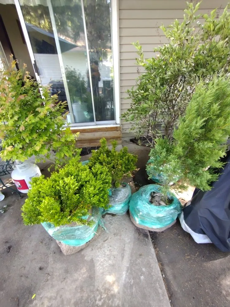 Reliable landscape design with custom design across Batavia, IL - Al's Landscaping Services and associates