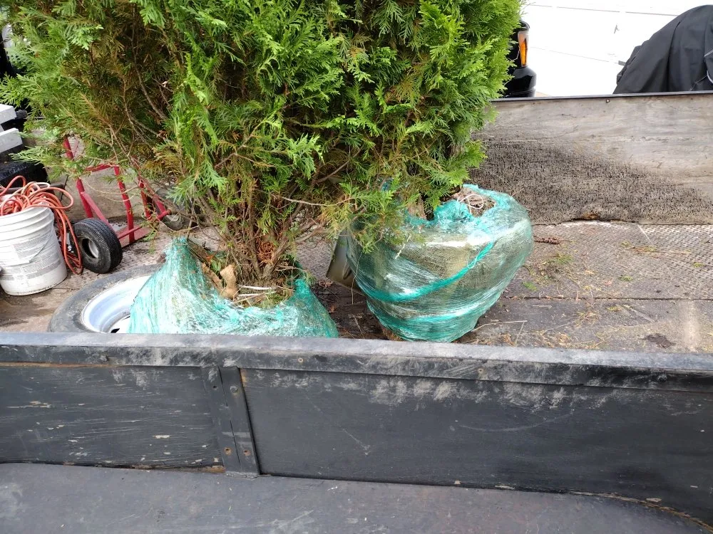 Local landscape design experts serving Batavia, IL - Al's Landscaping Services and associates