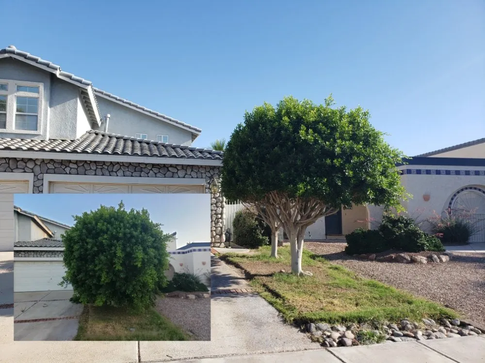 Local lawn mowing service with custom design in Laughlin, NV by Al's Landscaping Services of Laughlin