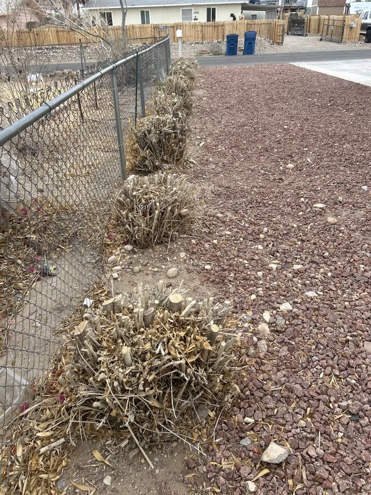 Affordable landscape design in Laughlin, NV - Al's Landscaping Services of Laughlin