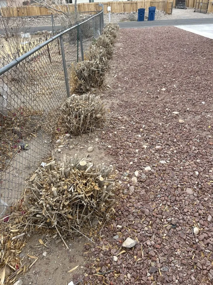 Professional lawn mowing service experts serving Laughlin, NV - Al's Landscaping Services of Laughlin