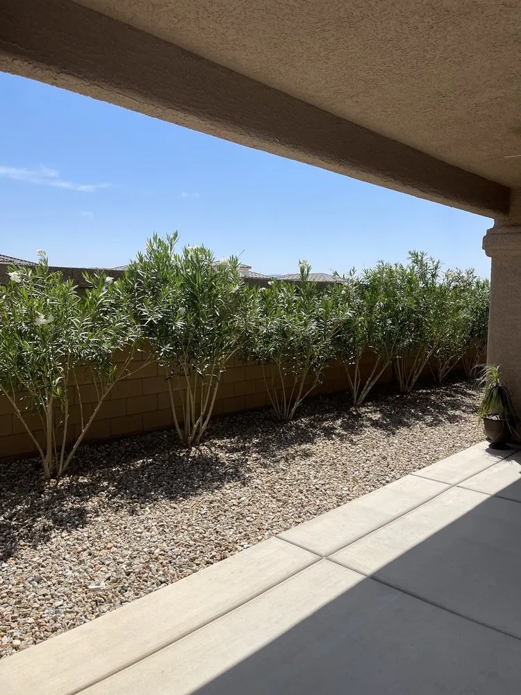 Trusted yard cleanup service near you in Laughlin, NV by Al's Landscaping Services of Laughlin