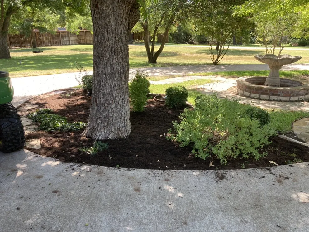 Affordable yard cleanup service experts serving Arlington, TX - Al’s Lawn Care