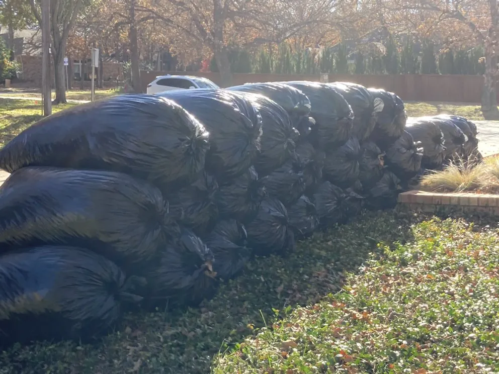 Expert yard maintenance near you in Arlington, TX by Al’s Lawn Care