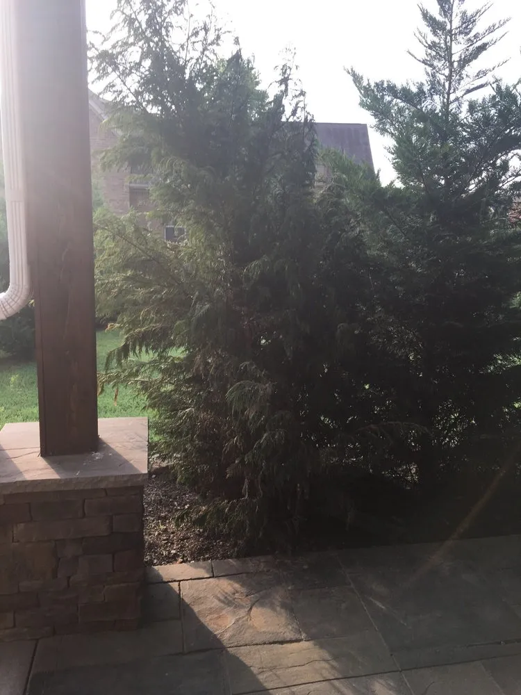 Reliable outdoor landscaping in Franklin, TN by Al's Lawn Care