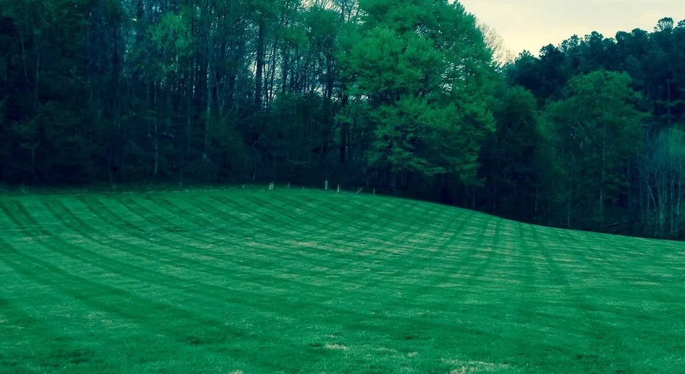 Trusted yard maintenance experts serving Franklin, TN - Al's Lawn Care