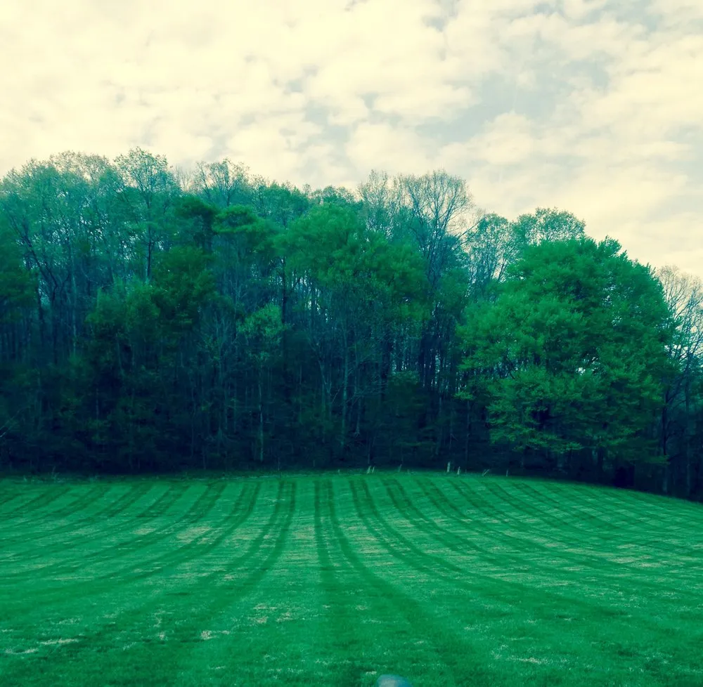 Trusted landscaping services in Franklin, TN by Al's Lawn Care