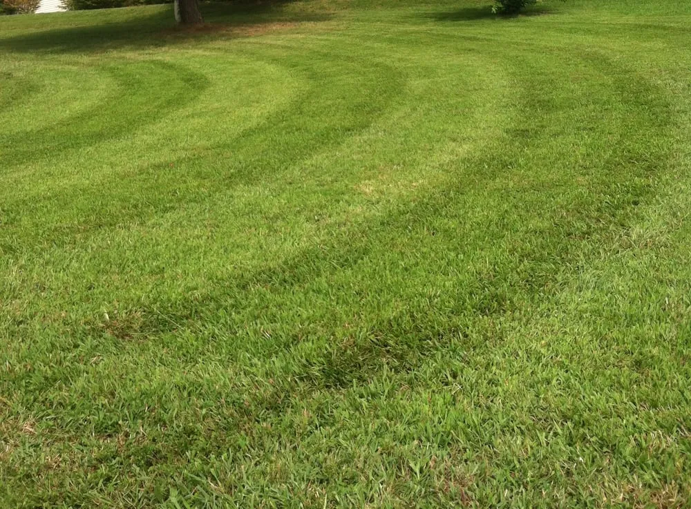 Local residential landscaping experts serving Franklin, TN - Al's Lawn Care